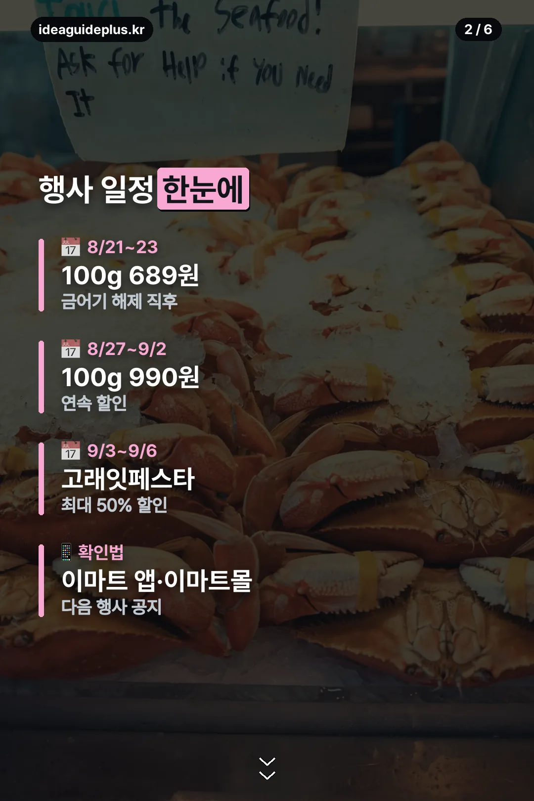 행사 일정 요약