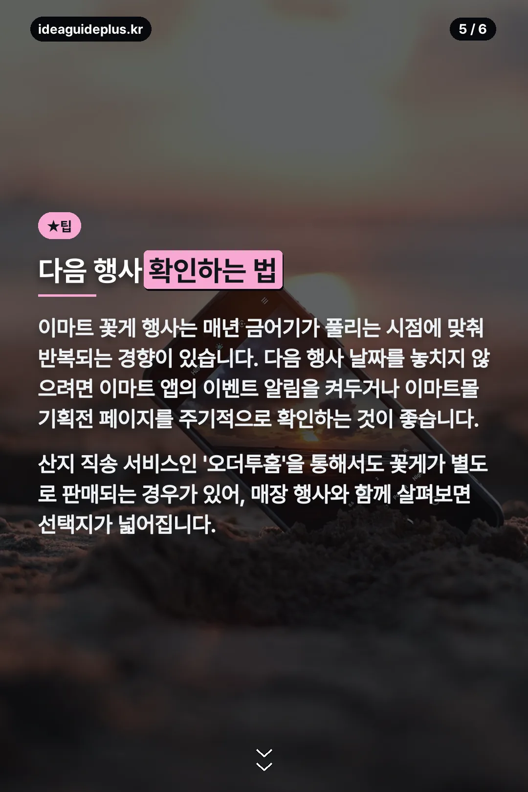다음 행사 확인법