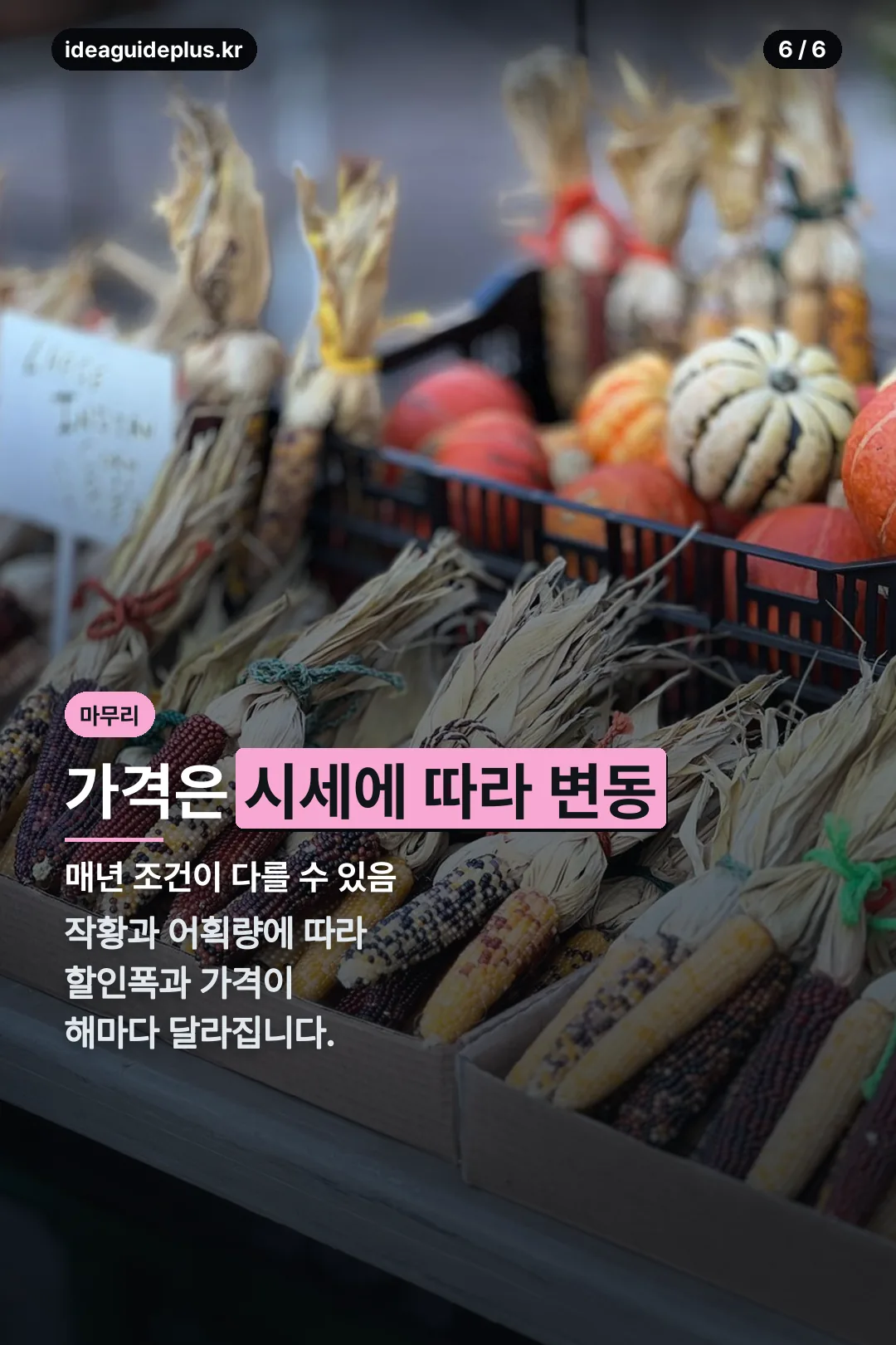 가격 변동 마무리