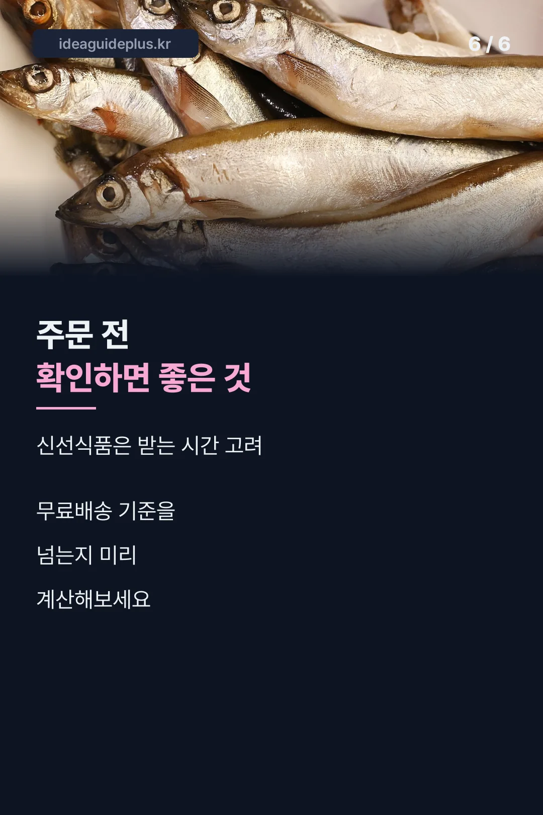 주문 전 확인사항