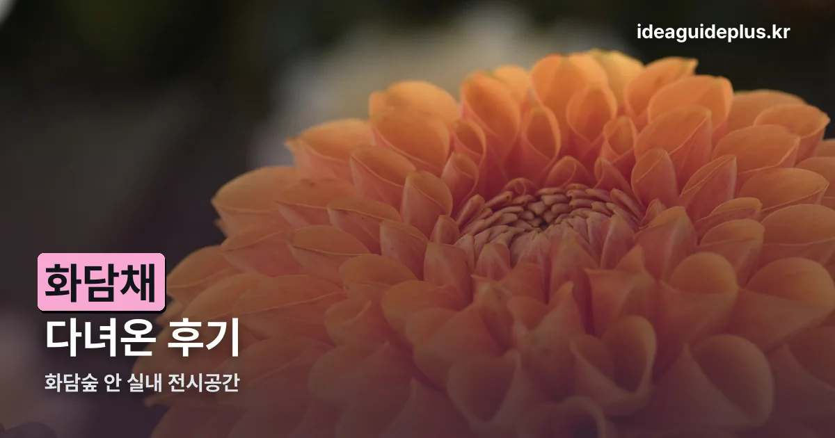 화담채 후기 정리 썸네일