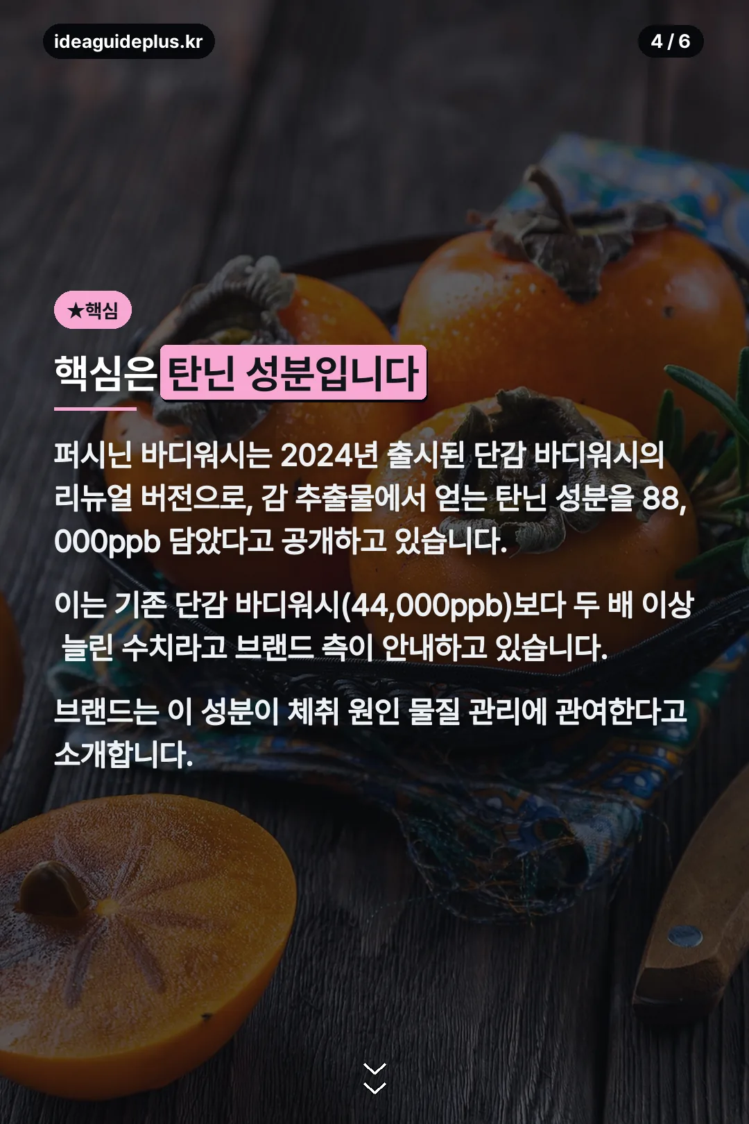 탄닌 성분 설명