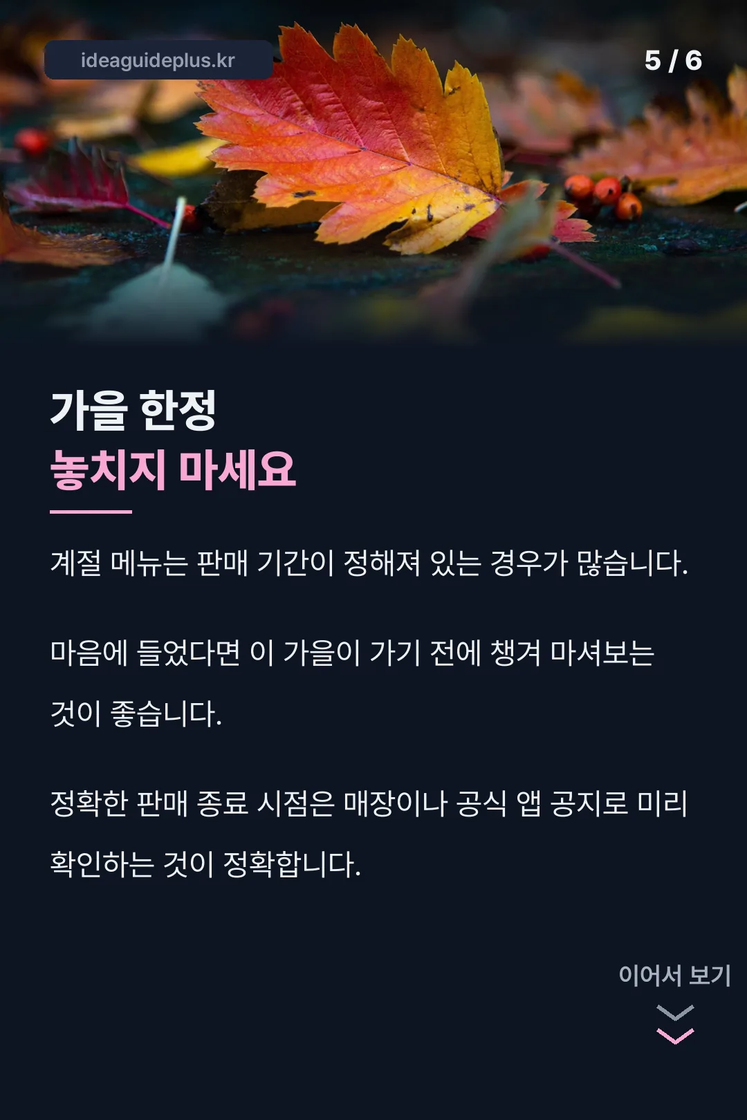 가을 한정 놓치지 마세요