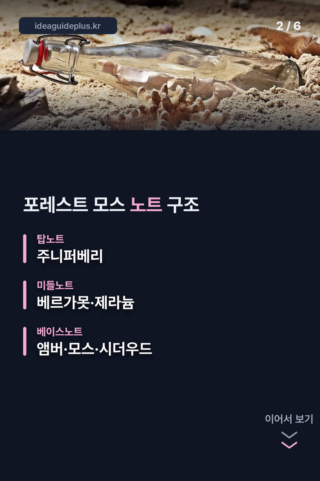 포레스트 모스 노트
