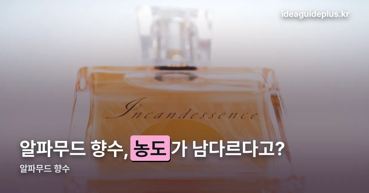알파무드 향수 정리 썸네일
