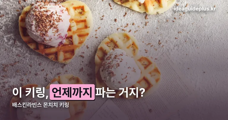 배스킨라빈스 몬치치 키링 정리 썸네일