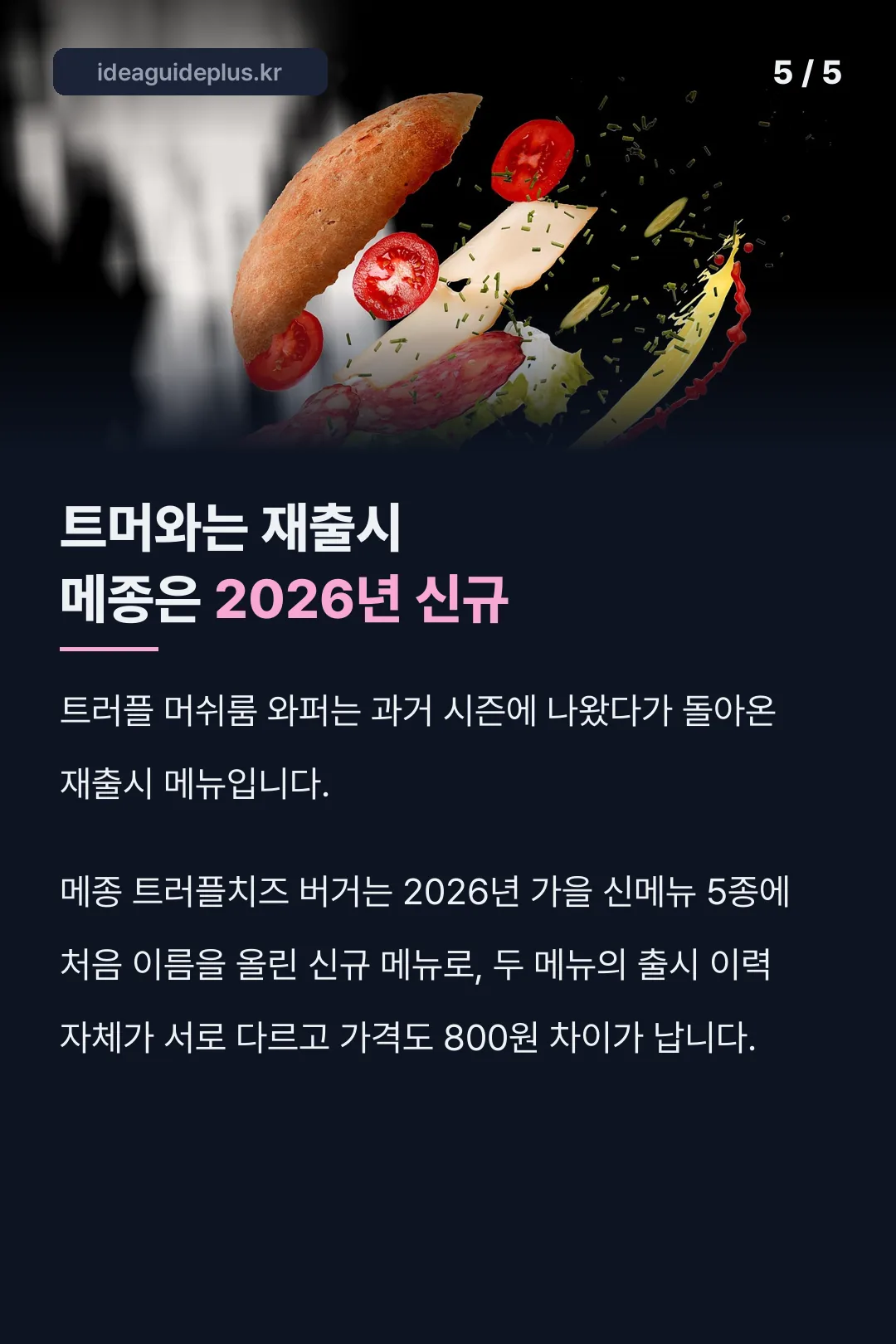 트머와 재출시 메종 신규