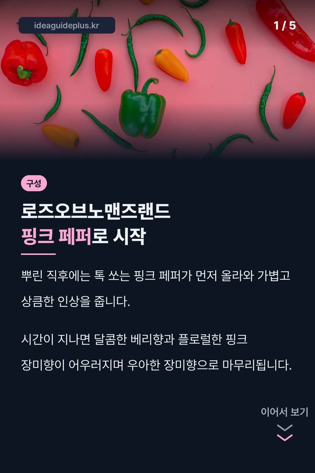 로즈오브노맨즈랜드 핑크 페퍼로 시작