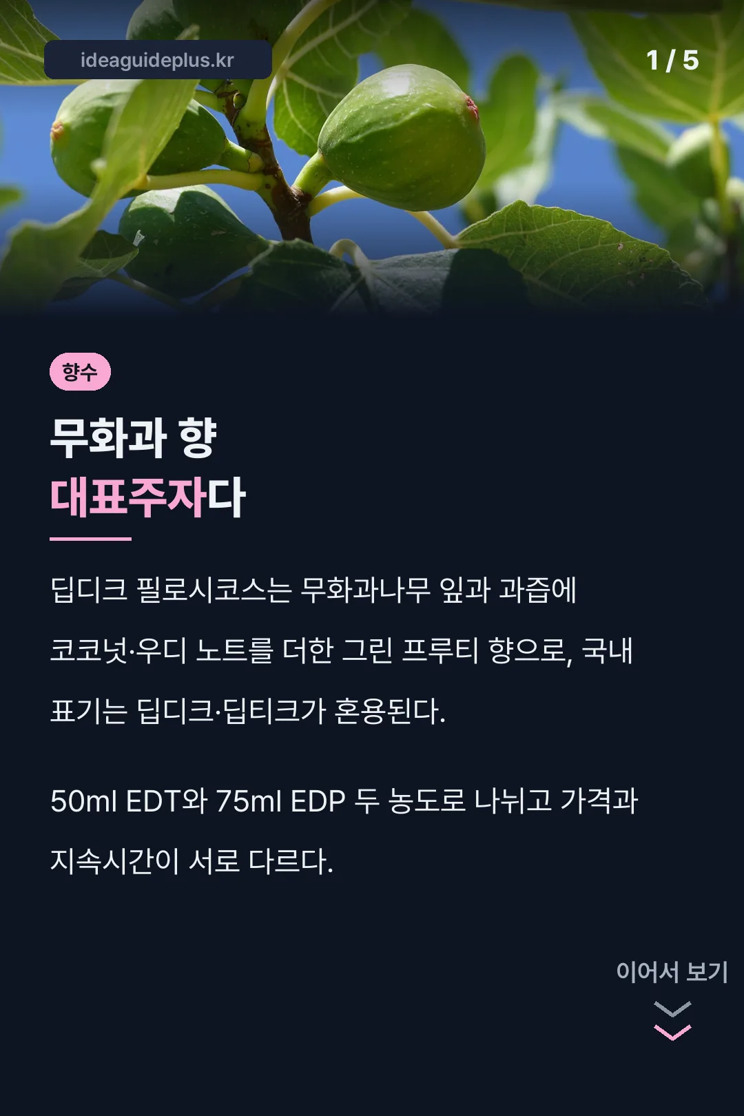 딥디크 필로시코스 표지