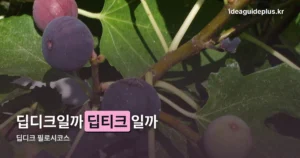 딥디크 필로시코스 — EDT·EDP 가격·지속시간 비교