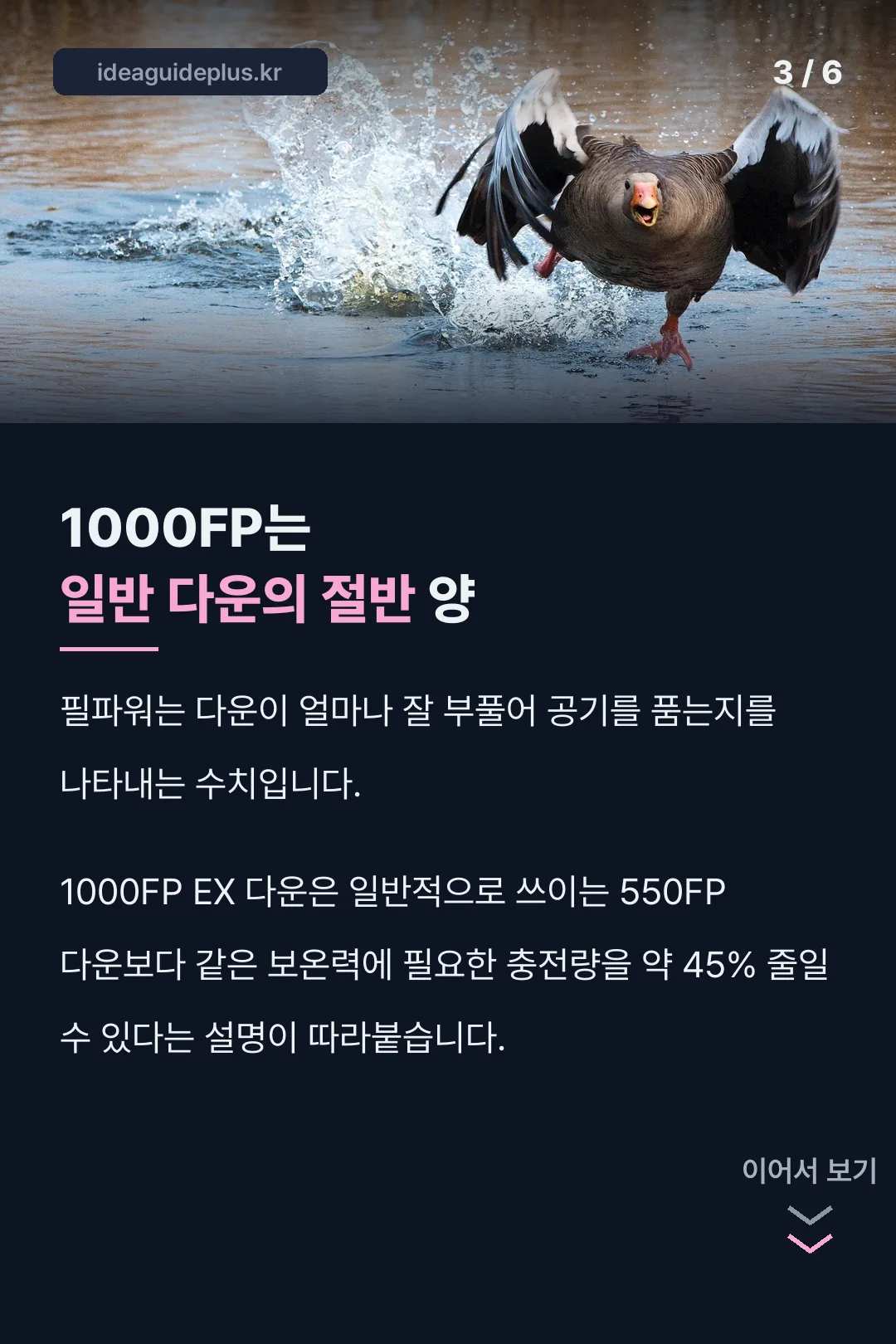 1000필파워가 줄이는 다운 양